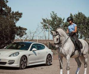 Caballo castrado Lusitano En venta 2013 Tordo