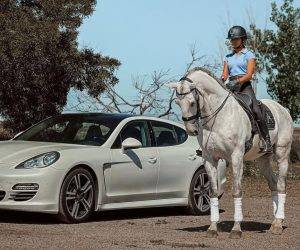 Caballo castrado Lusitano En venta 2013 Tordo