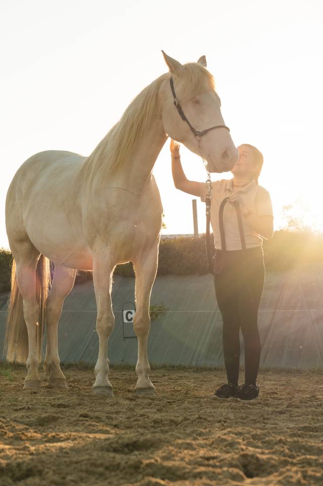 Yegua Crema En venta 2021 Crema