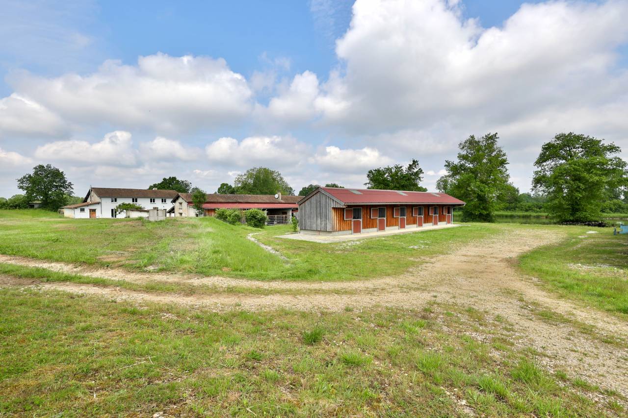 Bonita residencia ecuestre En venta Ain