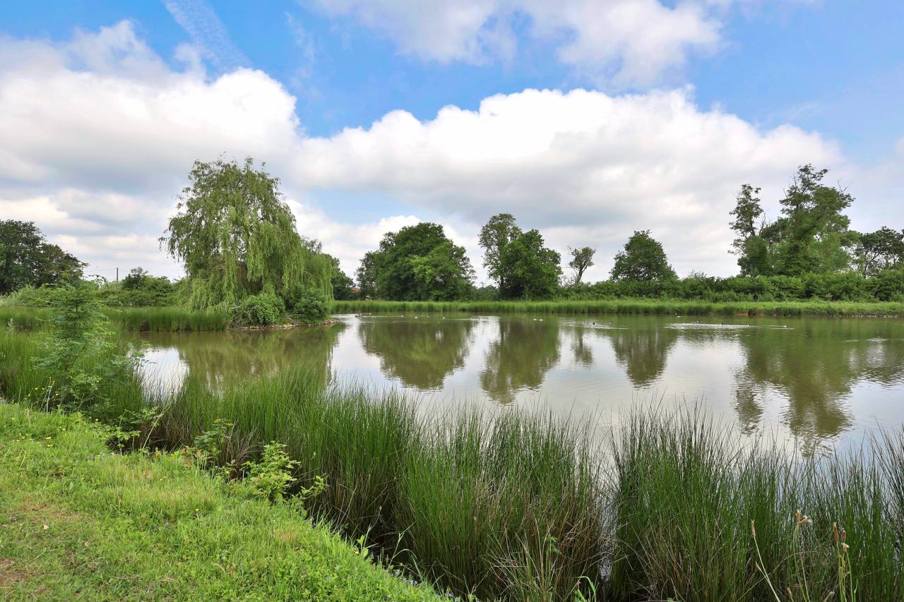 Bonita residencia ecuestre En venta Ain