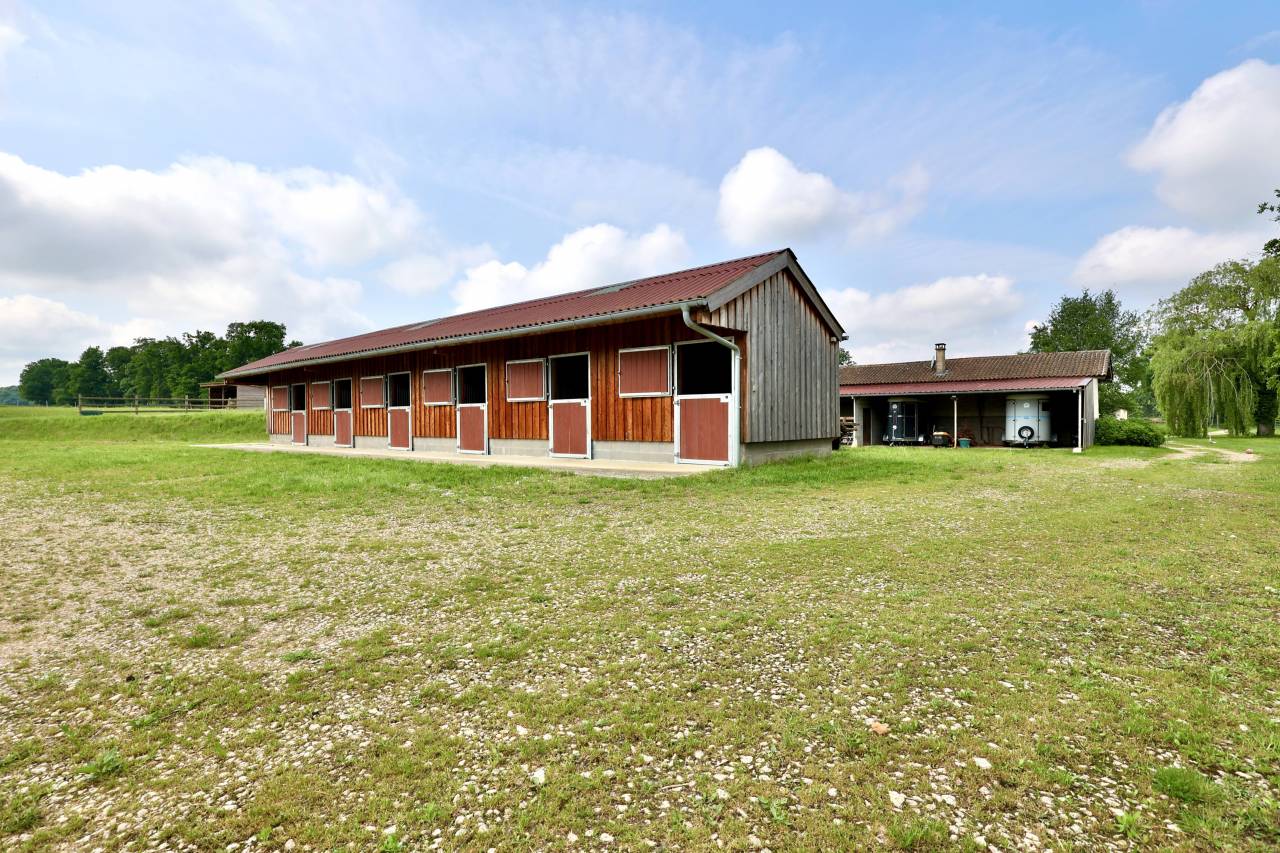 Bonita residencia ecuestre En venta Ain