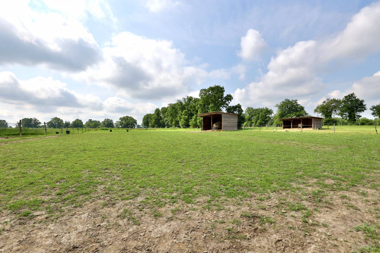 Bonita residencia ecuestre En venta Ain