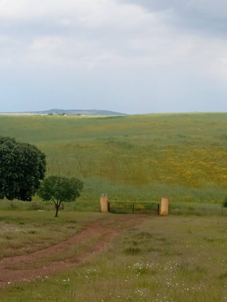 Pupilaje en libertad - Finca Dehesilla de los Cubones