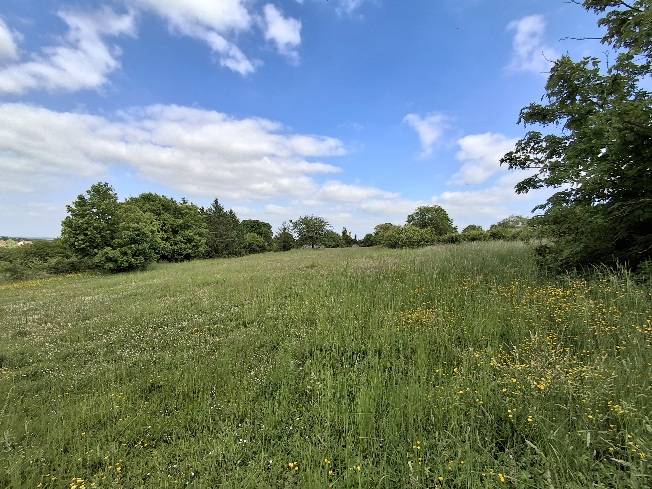 Propiedad ecuestre En venta Yonne