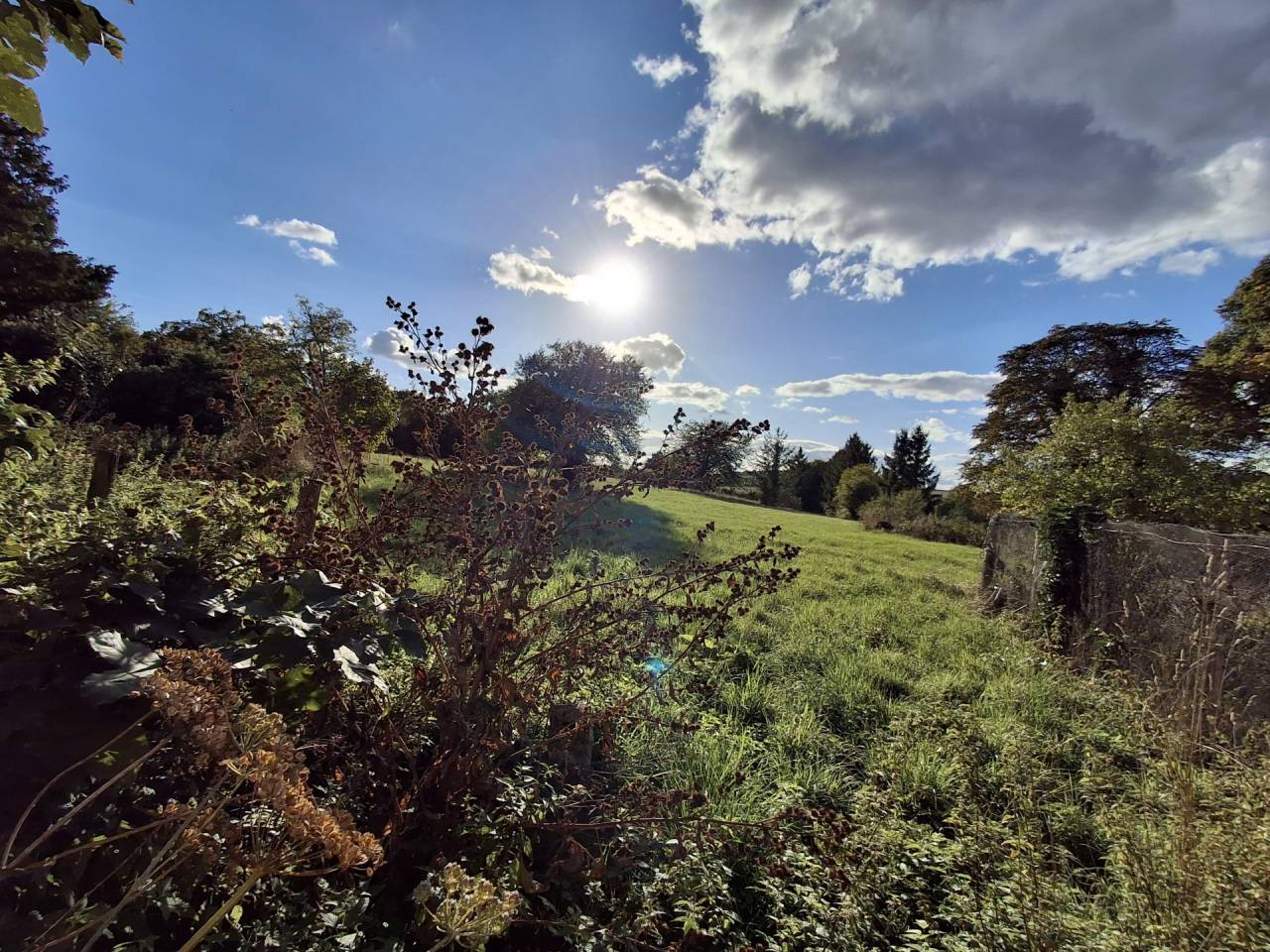 Propiedad ecuestre En venta Yonne