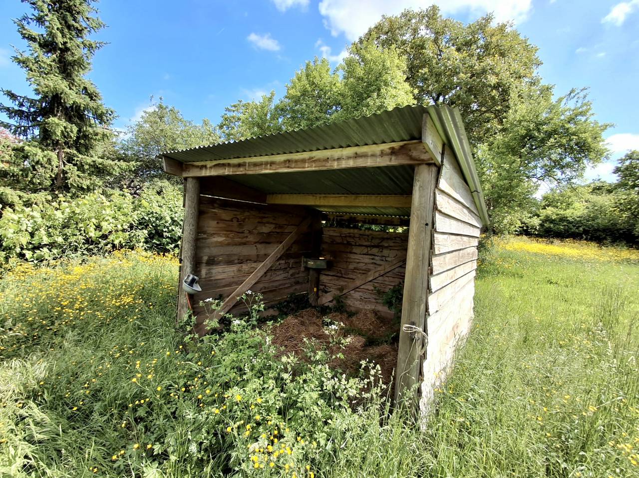 Propiedad ecuestre En venta Yonne