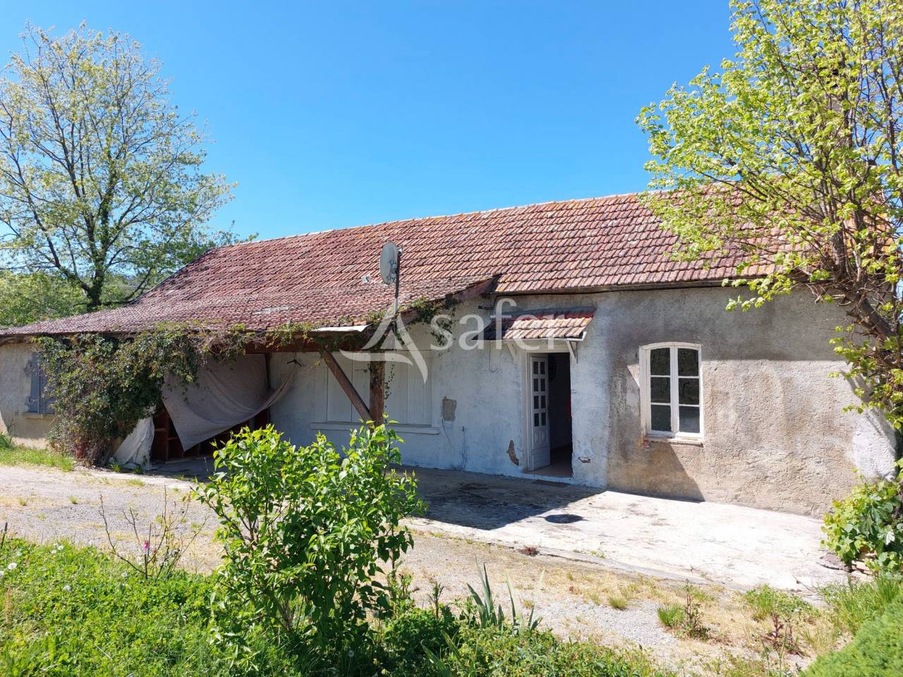 Explotación vitícola / Viñedo En venta Pirineos Atlánticos