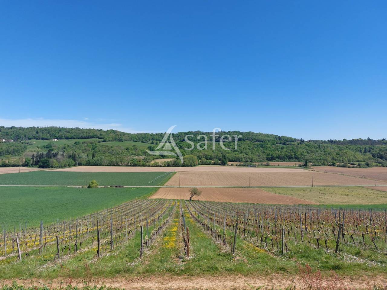 Explotación vitícola / Viñedo En venta Pirineos Atlánticos