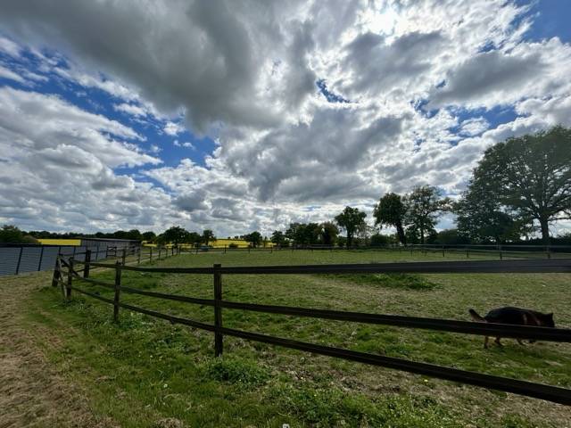 Cuadra de carrera En venta Mayenne