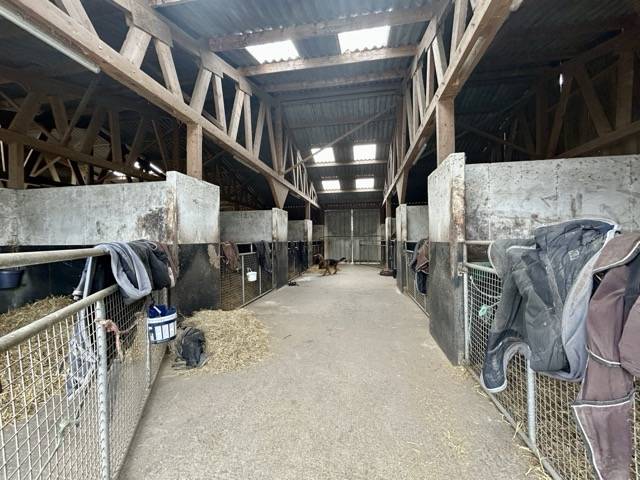 Cuadra de carrera En venta Mayenne