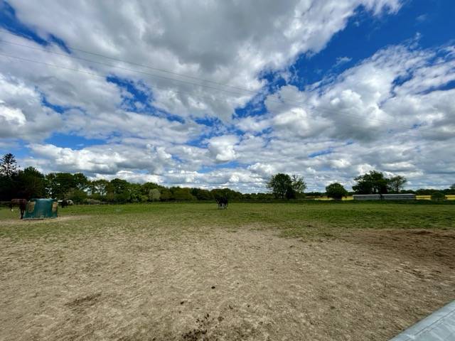 Cuadra de carrera En venta Mayenne