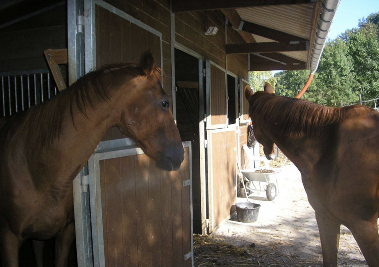 Propiedad ecuestre En venta Isère