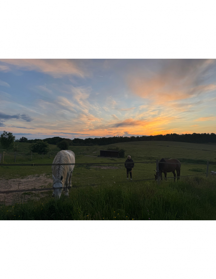 Bonita residencia ecuestre En venta Alto Vienne