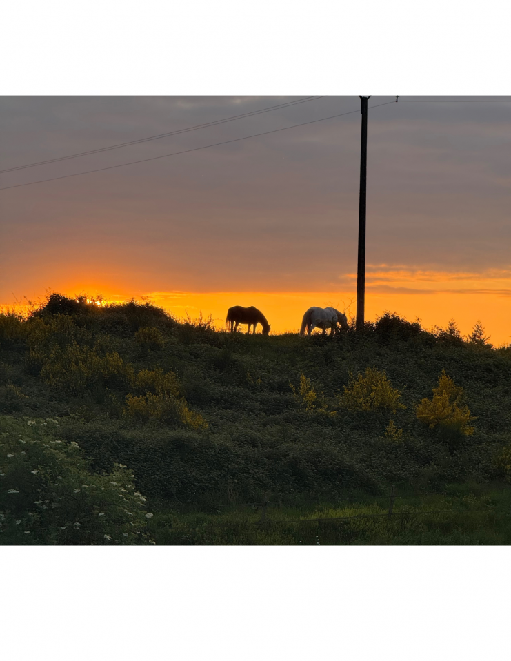 Bonita residencia ecuestre En venta Alto Vienne