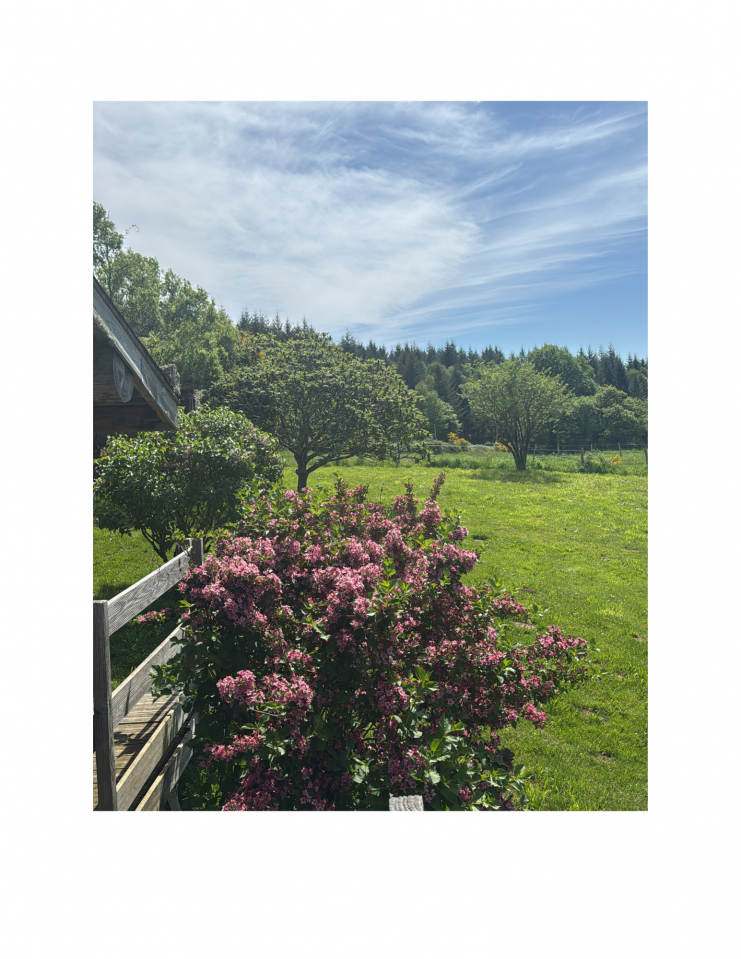 Bonita residencia ecuestre En venta Alto Vienne