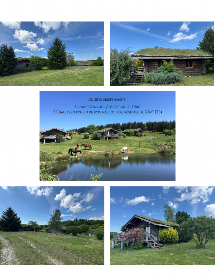 Bonita residencia ecuestre En venta Alto Vienne