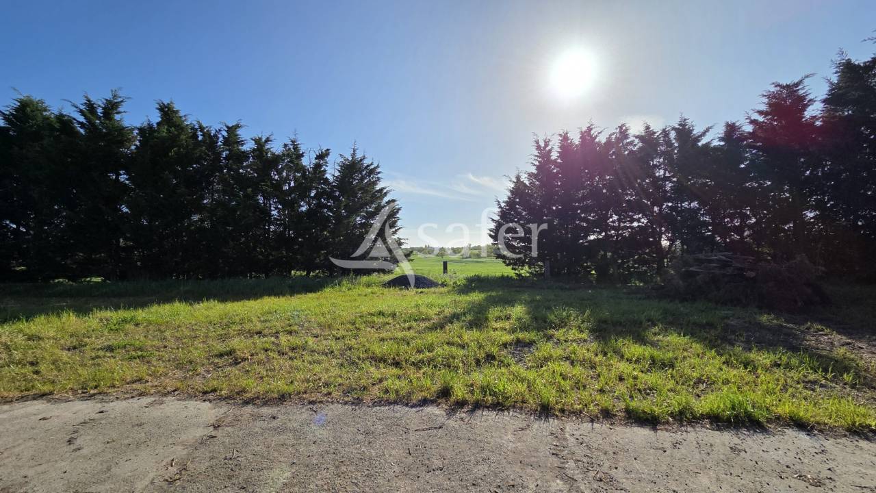 Propiedad rural En venta Loira Atlántico