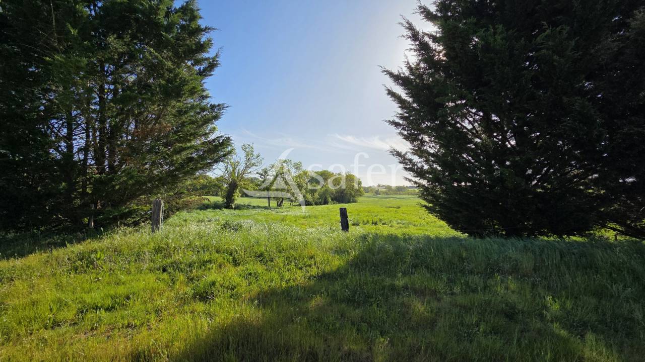 Propiedad rural En venta Loira Atlántico