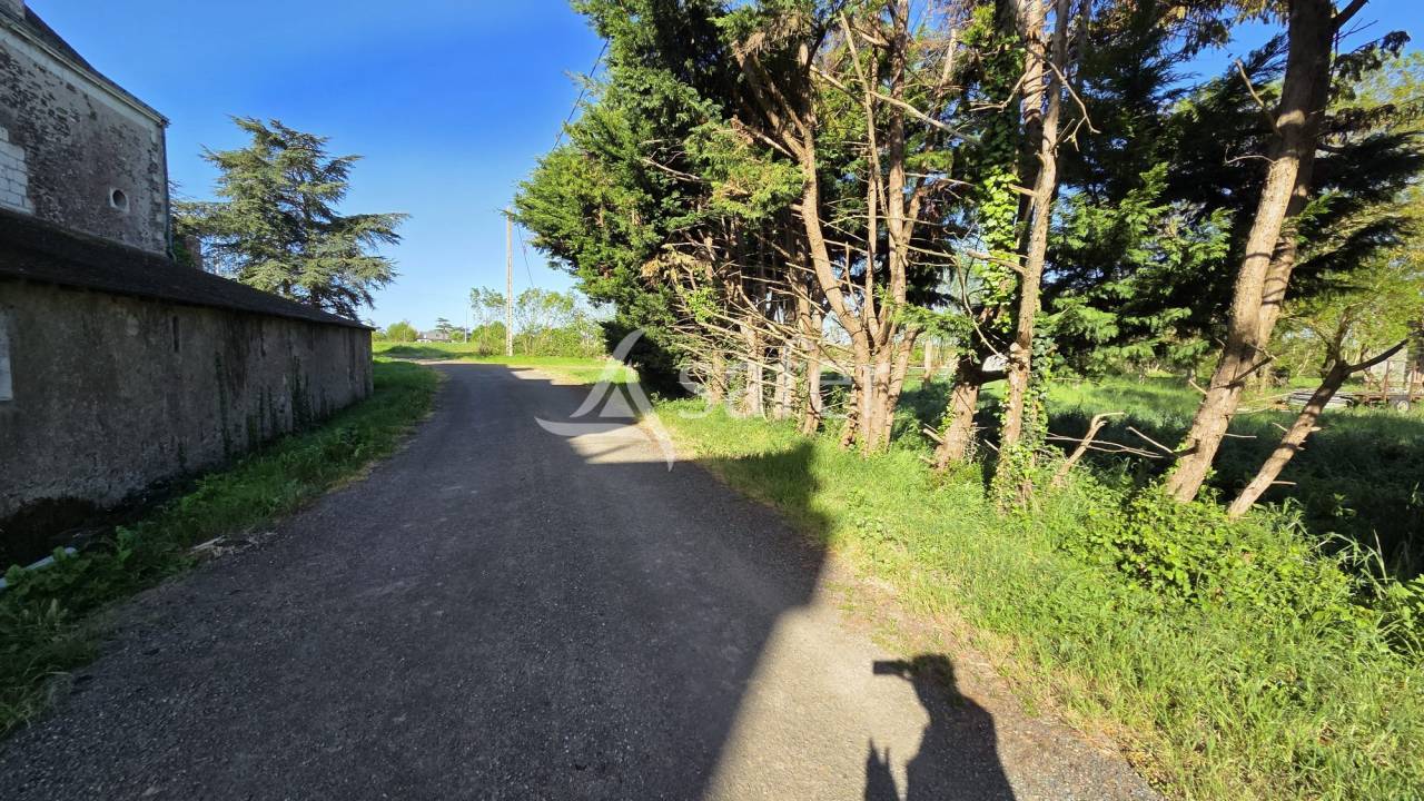 Propiedad rural En venta Loira Atlántico