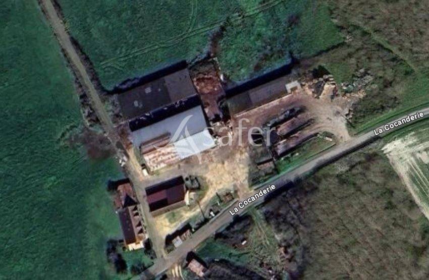 Explotación agrícola En venta Indre y Loira