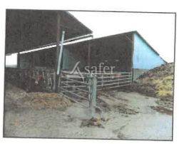 Explotación agrícola En venta Indre y Loira