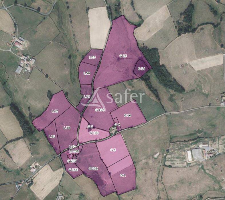 Propiedad rural En venta Saona y Loira