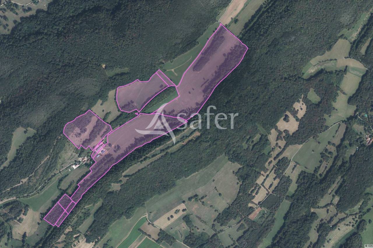 Explotaci&oacute;n ovina En venta Jura