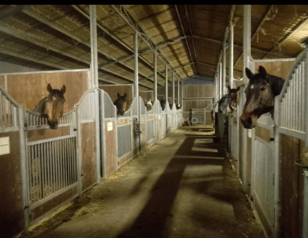 Propiedad ecuestre En venta Vendée