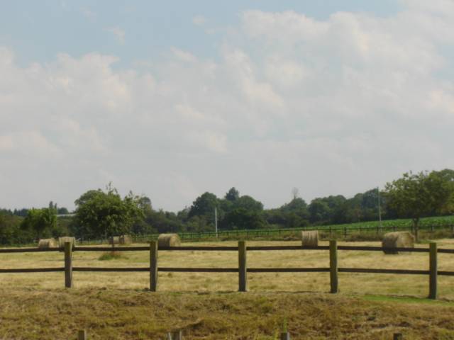 Propiedad de turismo ecuestre En venta Calvados