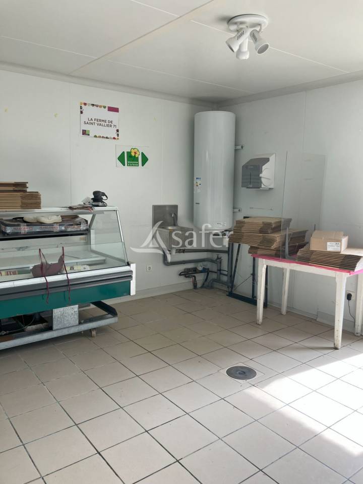 Explotación hortensa En venta Saona y Loira