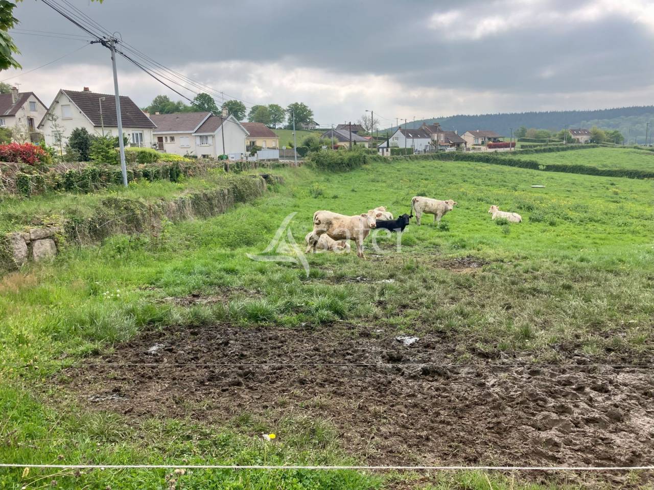 Explotación hortensa En venta Saona y Loira