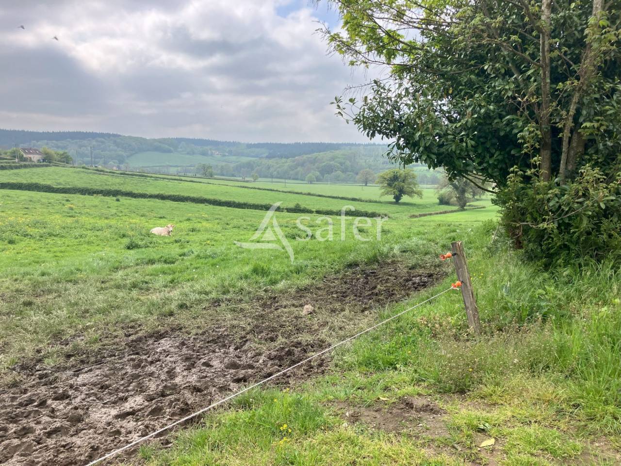 Explotación hortensa En venta Saona y Loira