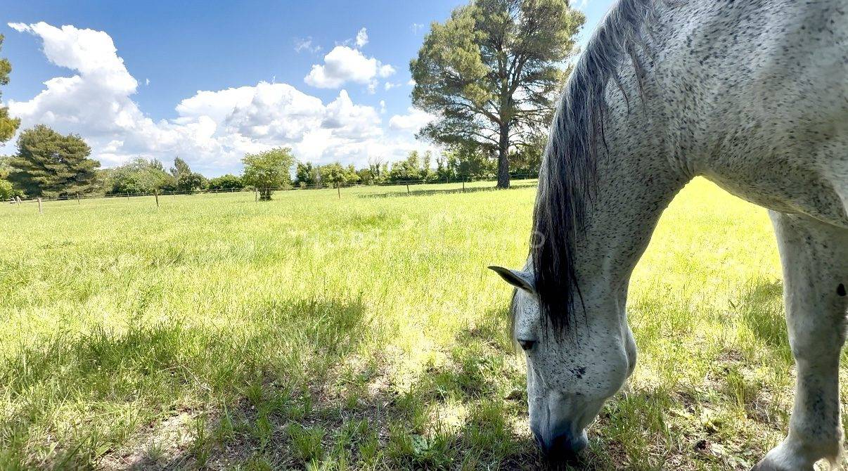 Propiedad ecuestre En venta Bocas del Ródano