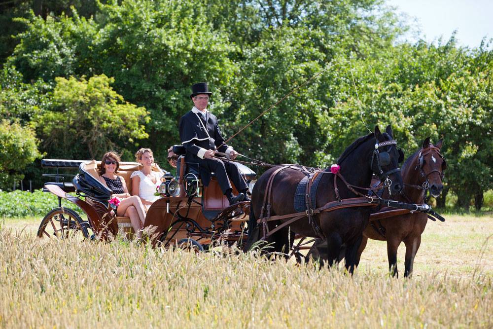 Coche enganches - Victoria - Otra marca - Victoria 