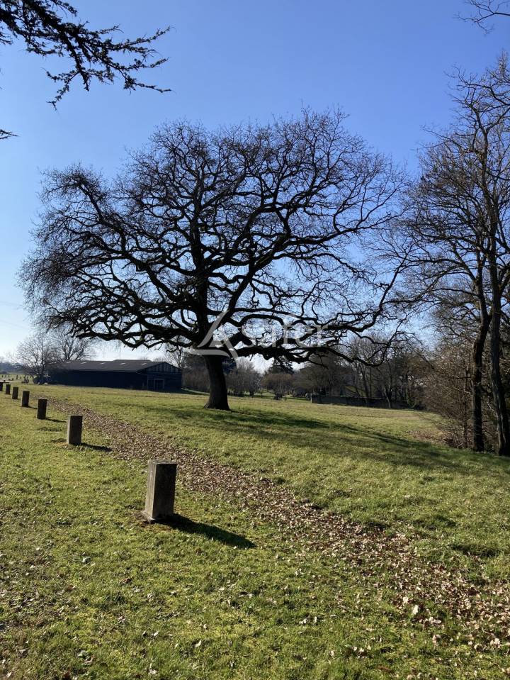 Propiedad ecuestre En venta Lot y Garona