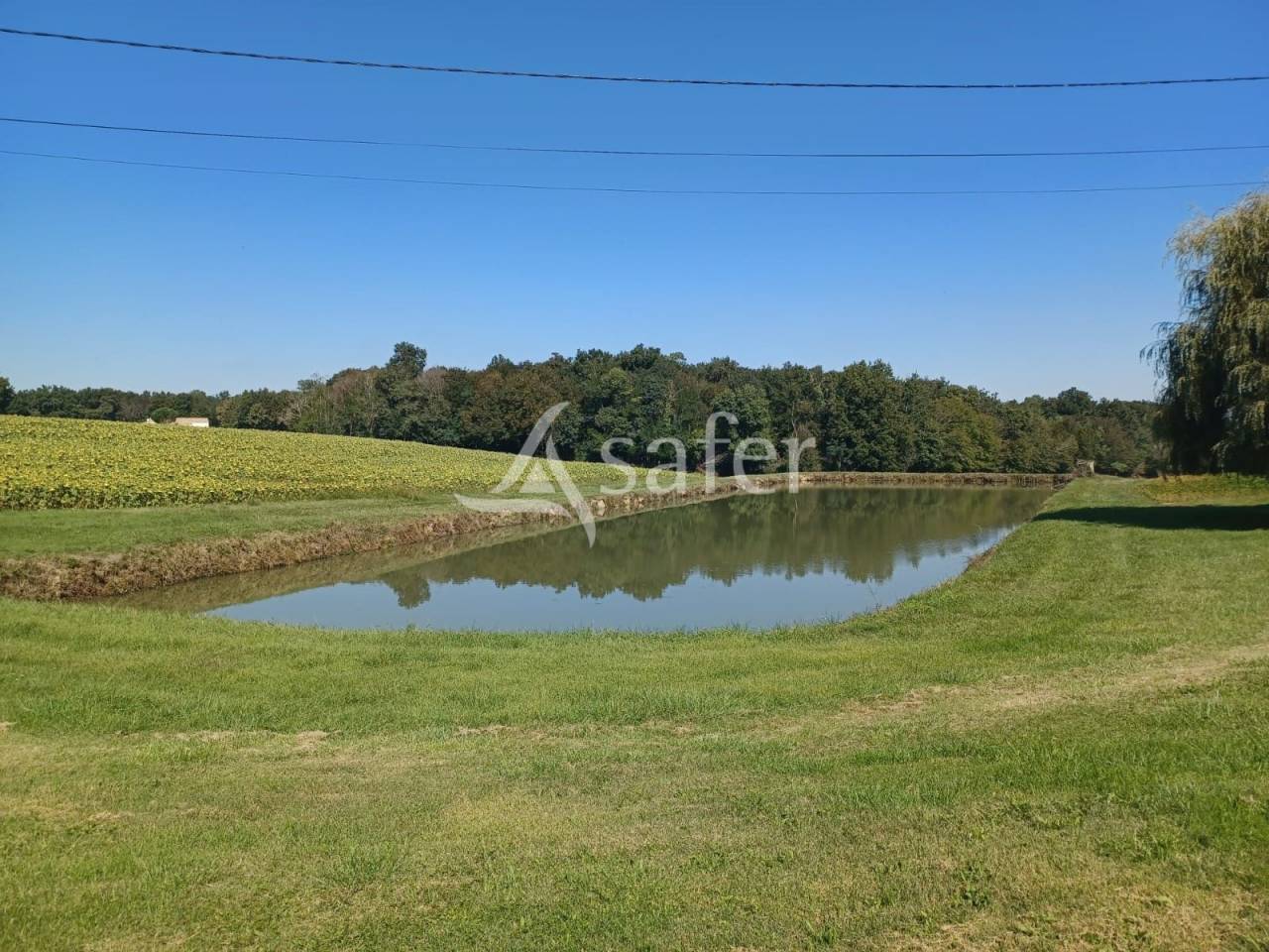 Explotación agrícola En venta Lot y Garona