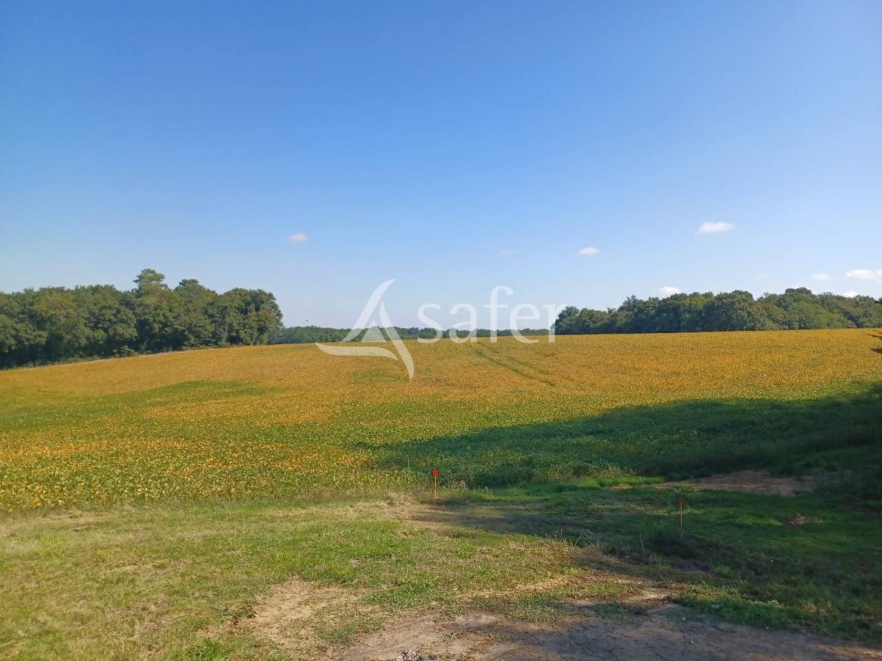 Explotaci&oacute;n agr&iacute;cola En venta Lot y Garona