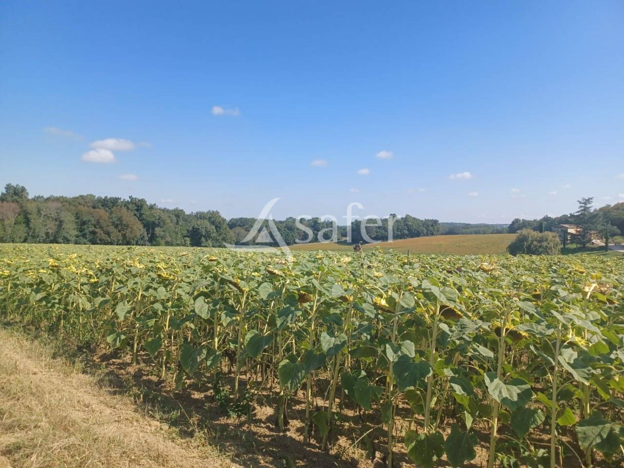 Explotaci&oacute;n agr&iacute;cola En venta Lot y Garona
