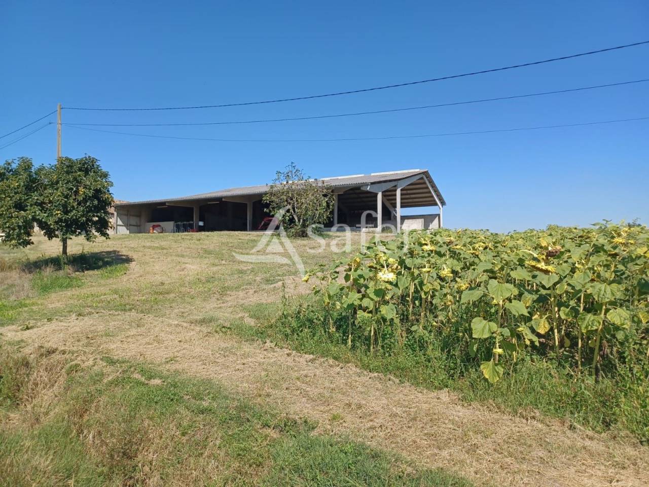 Explotaci&oacute;n agr&iacute;cola En venta Lot y Garona