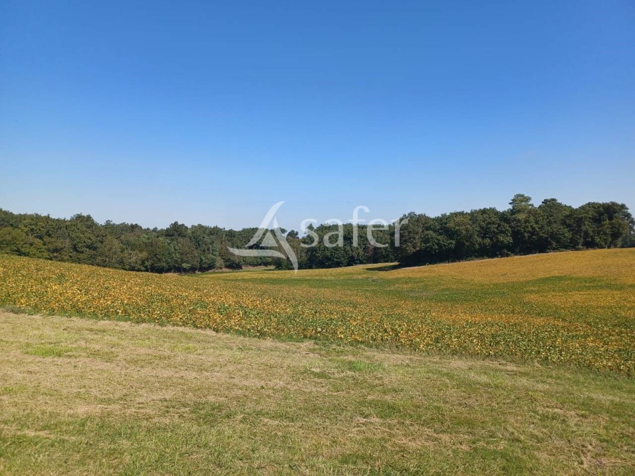 Explotaci&oacute;n agr&iacute;cola En venta Lot y Garona