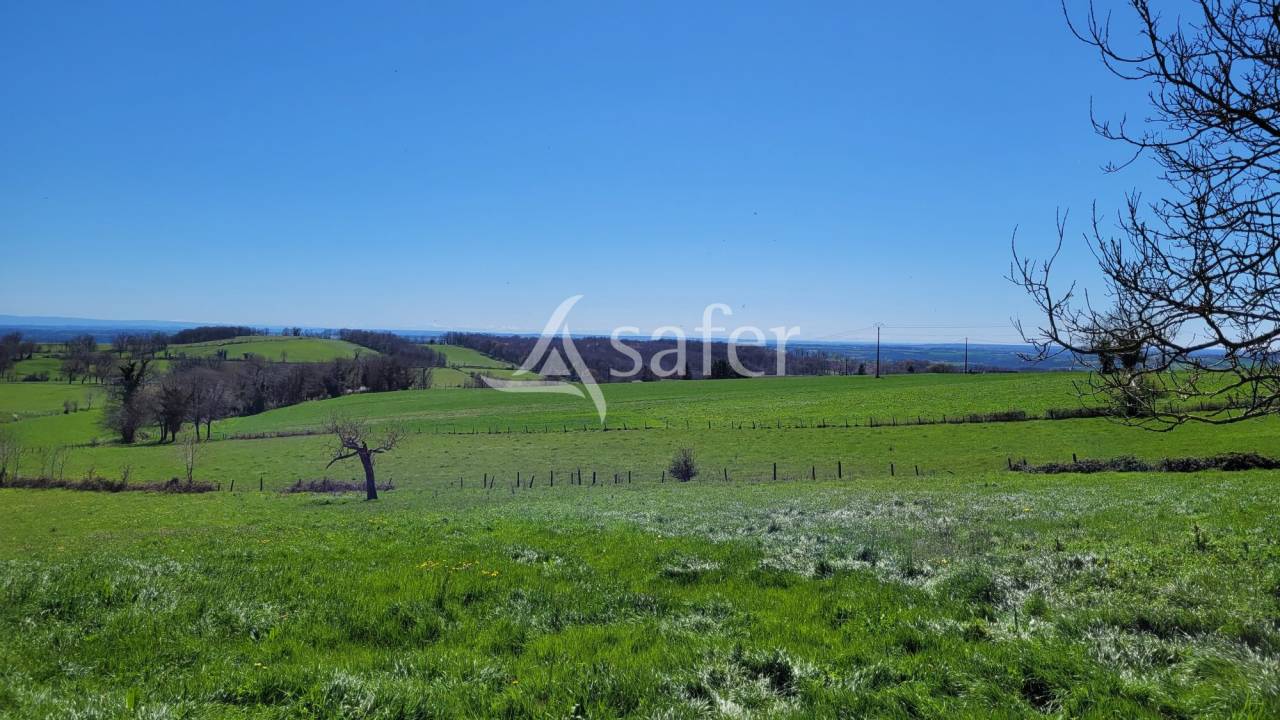 Propiedad rural En venta Tarn