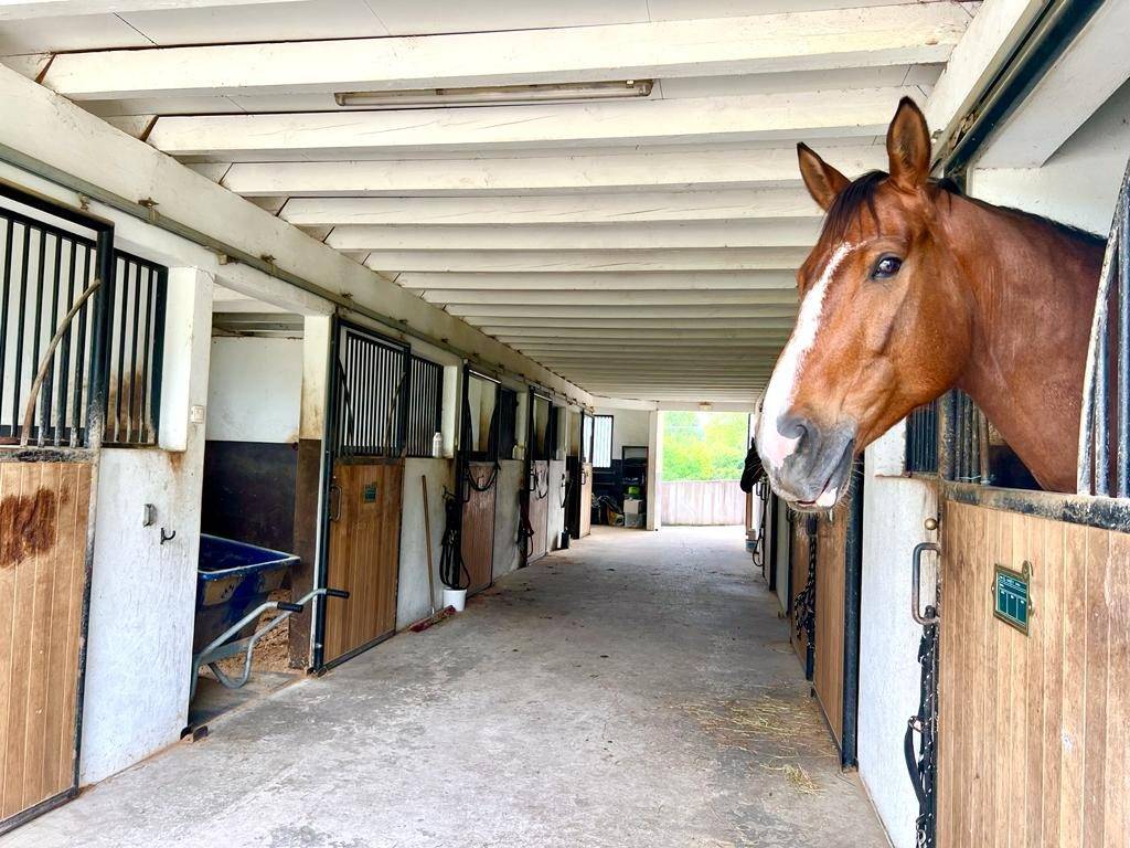 Propiedad ecuestre En venta Pirineos Atlánticos