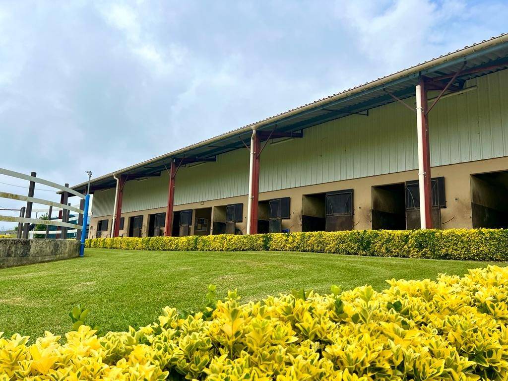 Propiedad ecuestre En venta Pirineos Atlánticos