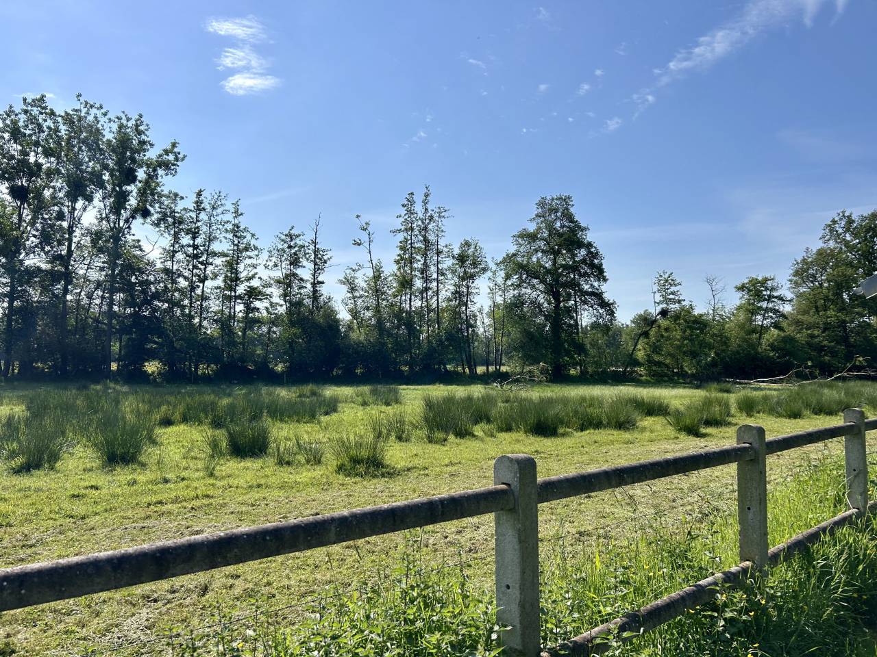 Bonita residencia ecuestre En venta Morbihan