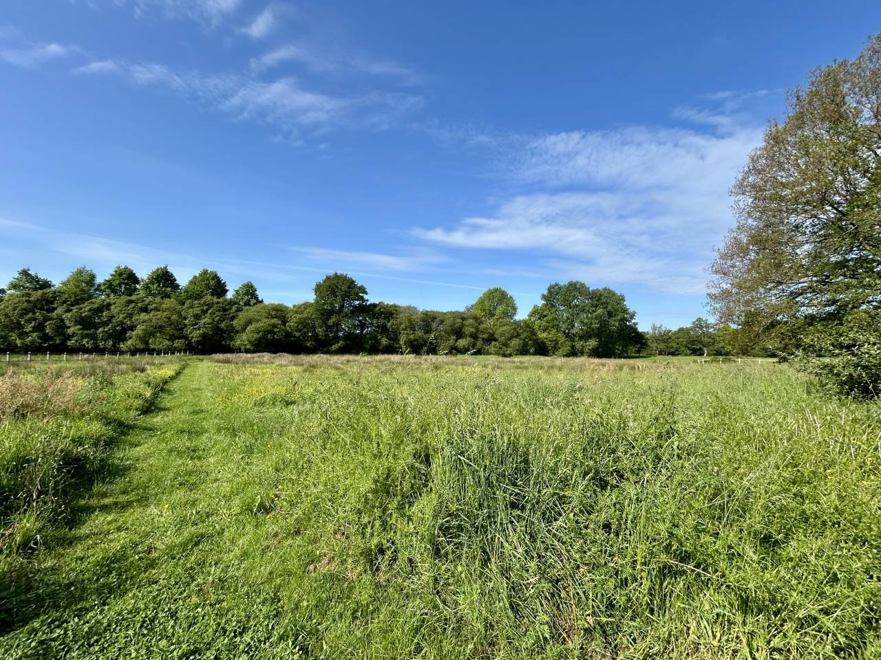 Bonita residencia ecuestre En venta Morbihan