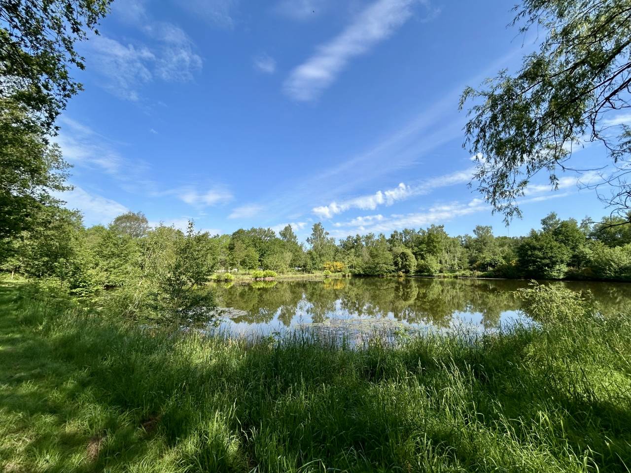 Bonita residencia ecuestre En venta Morbihan