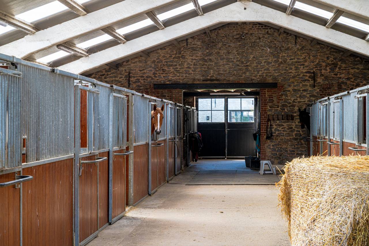 Propiedad ecuestre En venta Hainaut