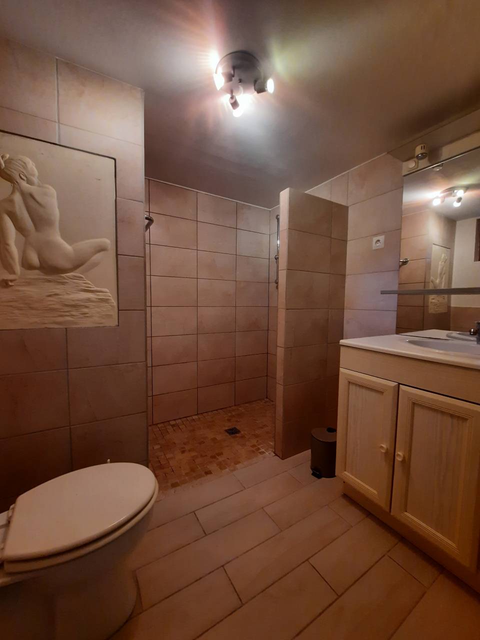 Bonita residencia ecuestre En venta Charente Marítimo