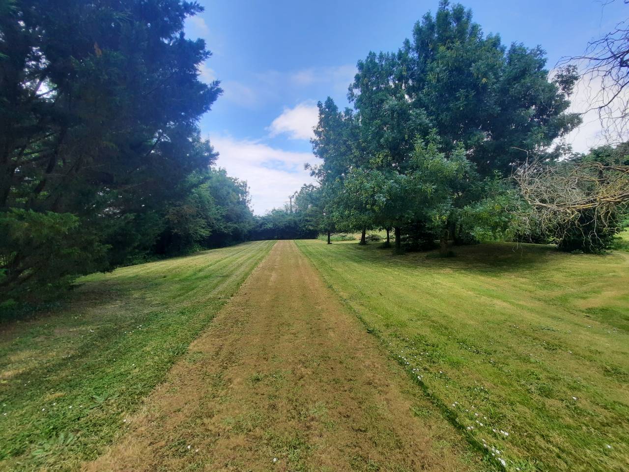 Bonita residencia ecuestre En venta Charente Marítimo